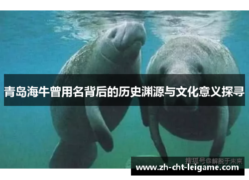 青岛海牛曾用名背后的历史渊源与文化意义探寻