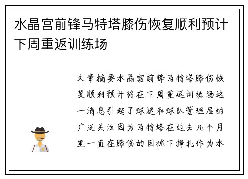 水晶宫前锋马特塔膝伤恢复顺利预计下周重返训练场 水晶宫前锋马特塔膝伤恢复顺利预计下周重返训练场